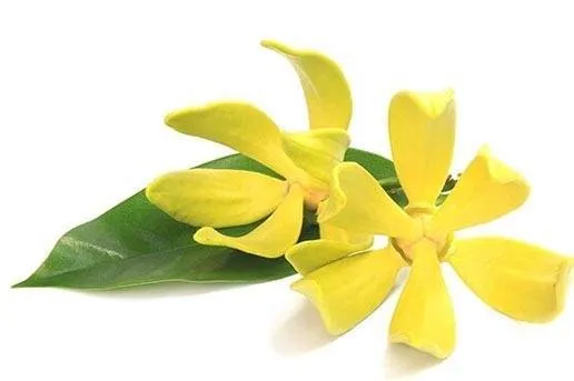 right image